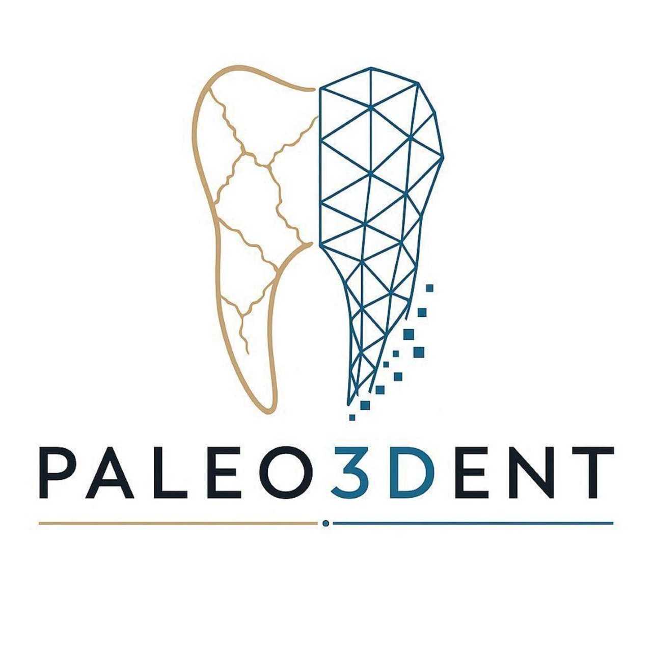 paleo3dent-a-metadata-repository-for-fossil-dental-imaging-records